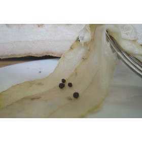 Lardo stagionato affettato