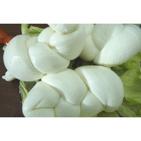 Treccia di Mozzarella Treccia di Mozzarella