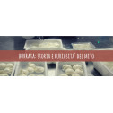 Burrata Pugliese: storia e curiosità Burrata Pugliese: storia e curiosità